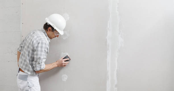 Professional Dry wall and painting in George West, TX